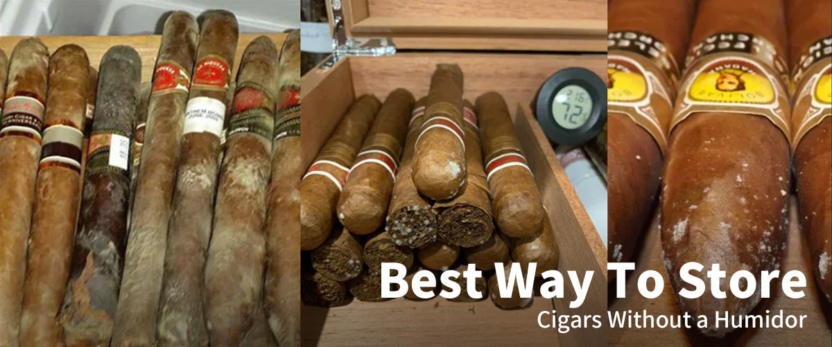 tobacco delivery adelaide SMOKELOVERS - CLOSED - Updated May 2026 - 11 Reviews - 244 Rundle St,  Adelaide South Australia, Australia - Tobacco Shops - Phone Number