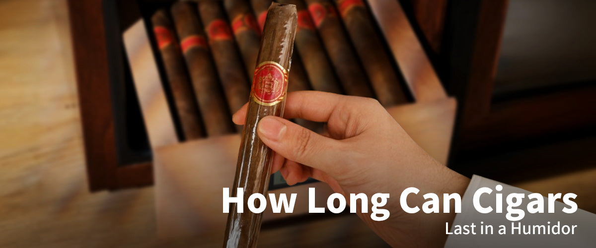 How Long Can Cigars Last in a Humidor