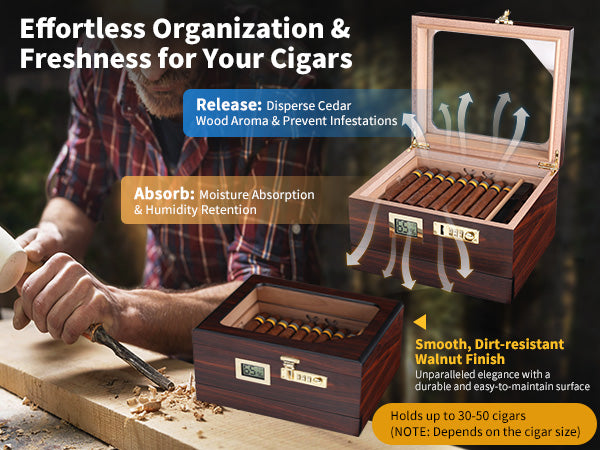 cb-50-cigar-box-cedar-wood-desktop-humidor-with-lock-walnut-finish