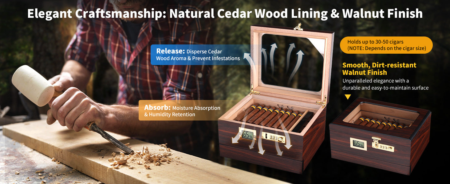 cb-50-cigar-box-cedar-wood-desktop-humidor-with-lock-walnut-finish
