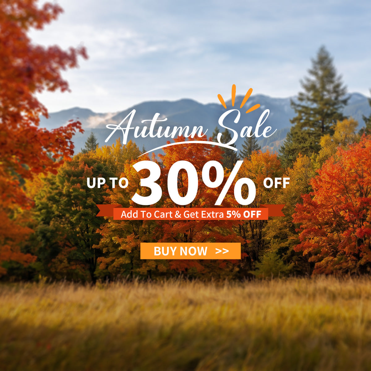 needone-cigar-humidor-autumn-sale-2026