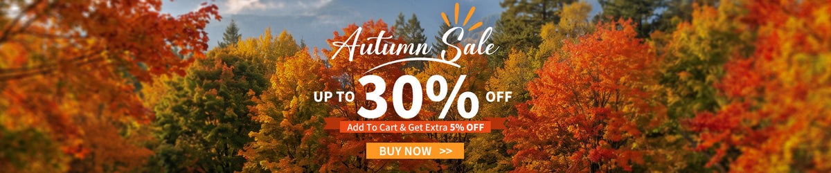 needone-cigar-humidor-autumn-sale-2026