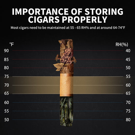 no-48b-cigar-humidor-48l-cooling-electronic-cabinet-importance-of-storing-cigars-properly