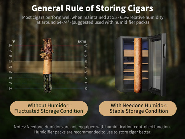 no-48bt-cigar-humidor-48l-heating-cooling-cabinet-general-rules-of-storing-cigars